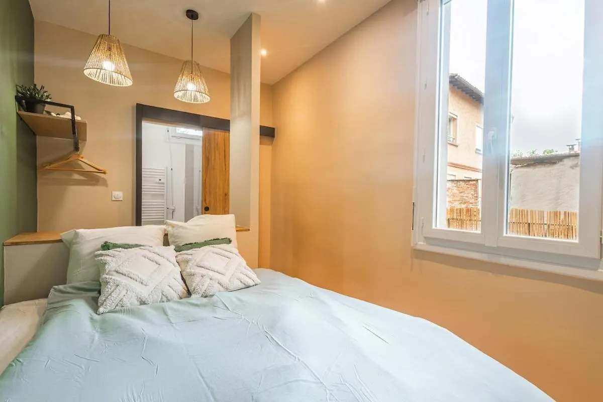 Magnifique Appartement Terrasse Et Parking Prive Place Dupuy Тулуза Апартаменты